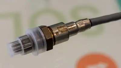Senzori oxigen